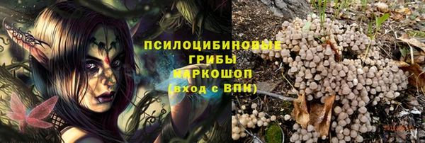 крисы Арсеньев