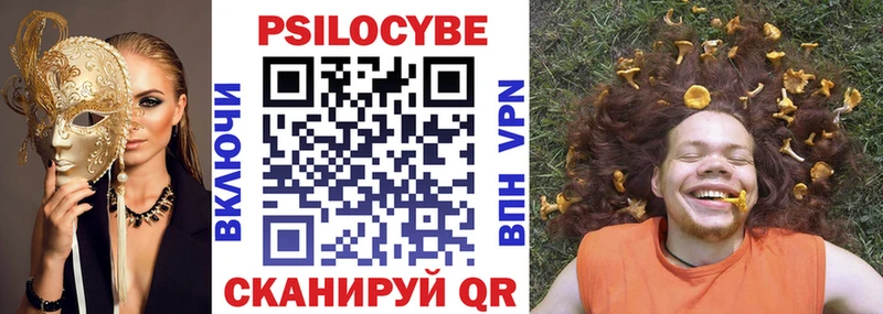 Галлюциногенные грибы Psilocybe  Суздаль 